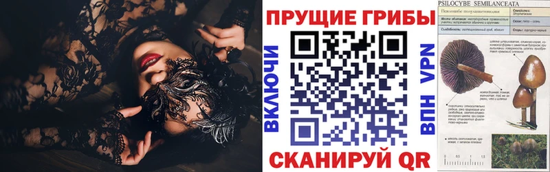 Псилоцибиновые грибы ЛСД Купить закладки Никольское